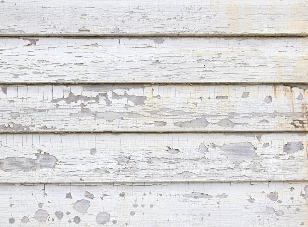 Best Hoarding Cleanup  in Indian River Estates, FL